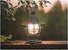 Picture of POLAR WILLOW LANTERN